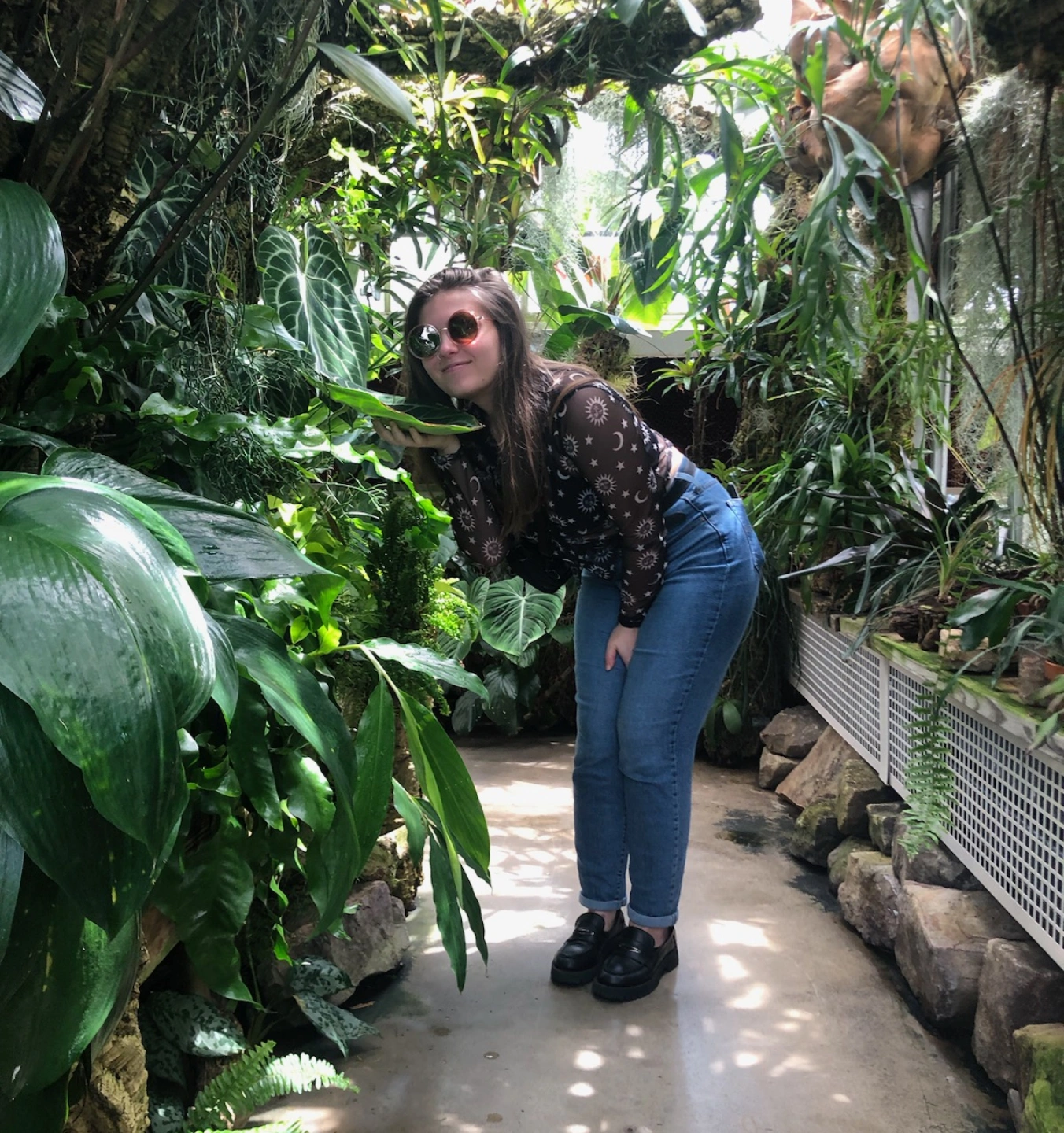 Plants and nature